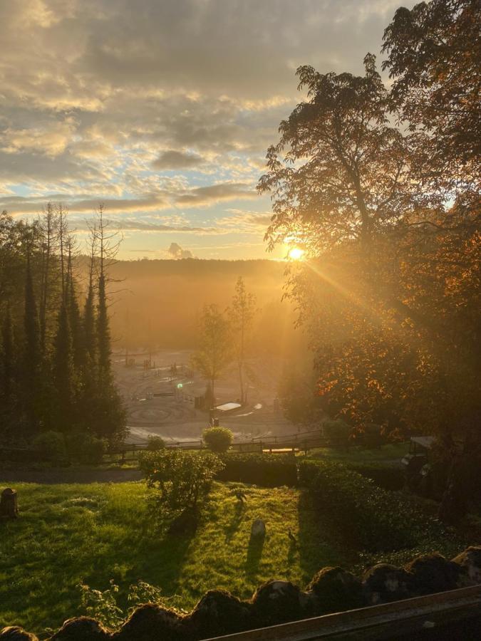 Wunderschoen Zwischen Ortsausgang Und Waldesrand Gelegene, Schoene Apartments Herzogenrath Dış mekan fotoğraf